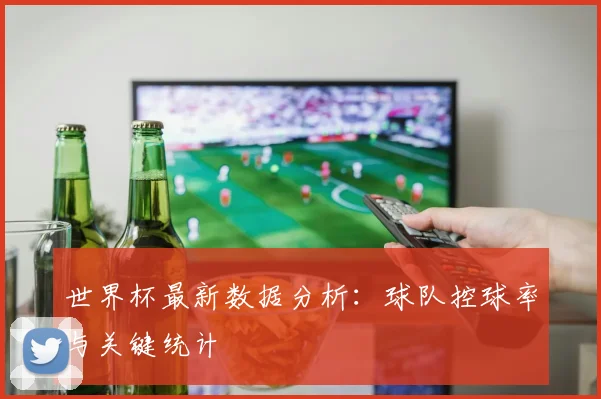 世界杯最新数据分析：球队控球率与关键统计