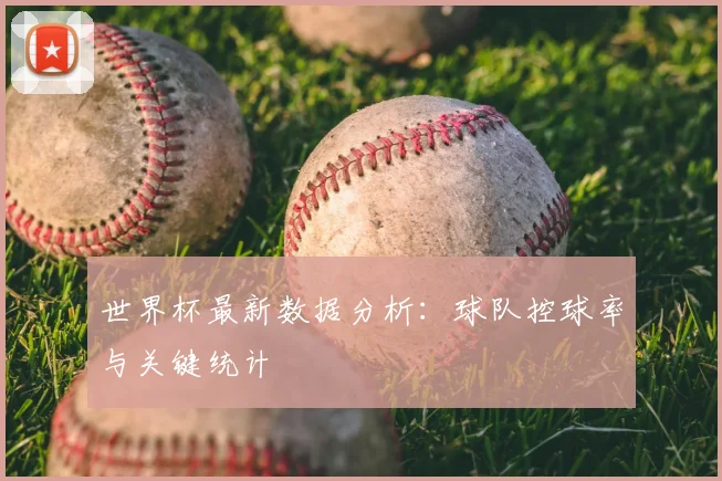 世界杯最新数据分析：球队控球率与关键统计