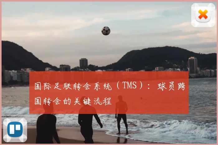 国际足联转会系统(TMS):球员跨国转会的关键流程