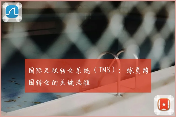 国际足联转会系统(TMS):球员跨国转会的关键流程